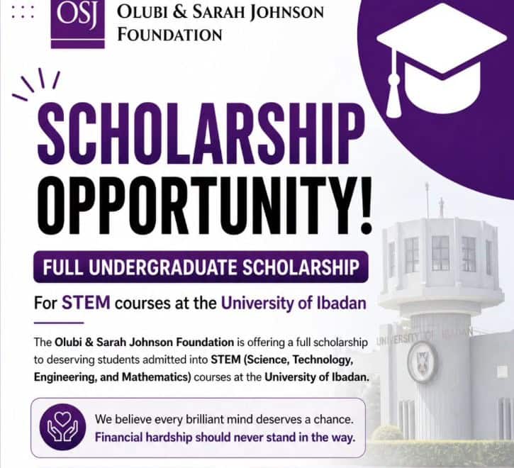 Olubi & Sarah Johnson Foundation Scholarship for UI STEM Students 2026
